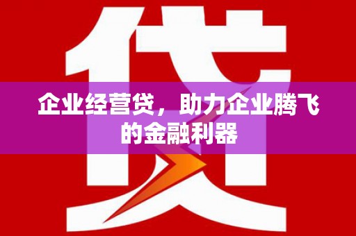 隆尧企业经营贷，助力企业腾飞的金融利器