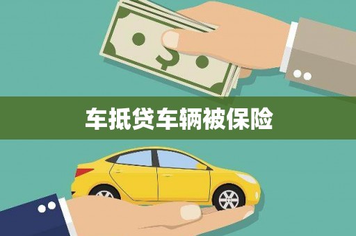 高树车抵贷车辆被保险