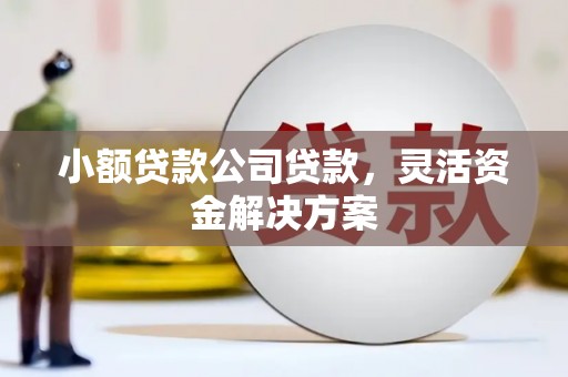 建湖小额贷款公司贷款，灵活资金解决方案